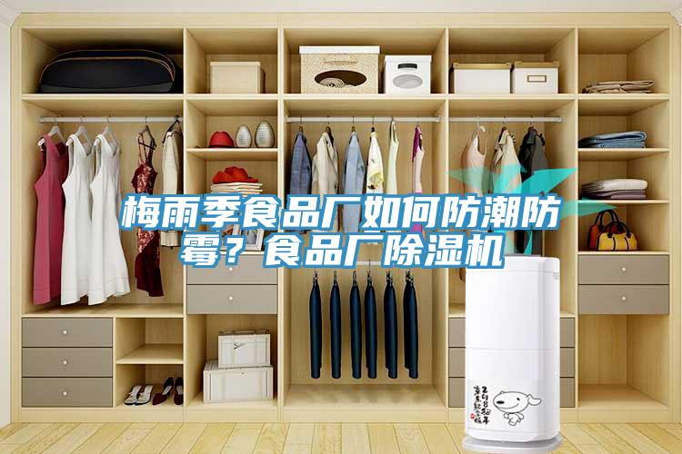 梅雨季食品廠如何防潮防霉？食品廠除濕機