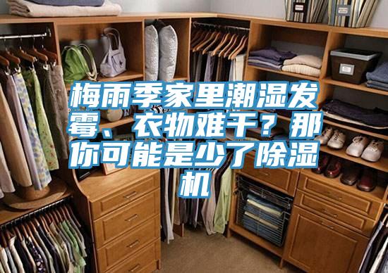 梅雨季家里潮濕發(fā)霉、衣物難干？那你可能是少了除濕機(jī)