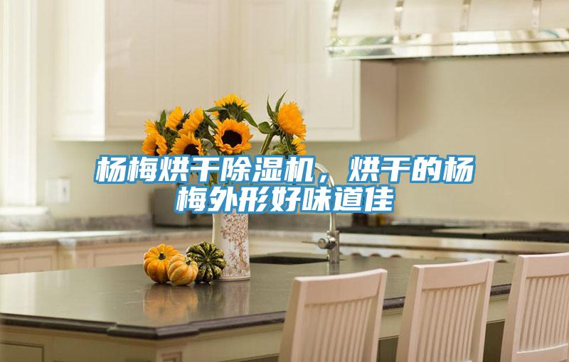 楊梅烘干除濕機，烘干的楊梅外形好味道佳