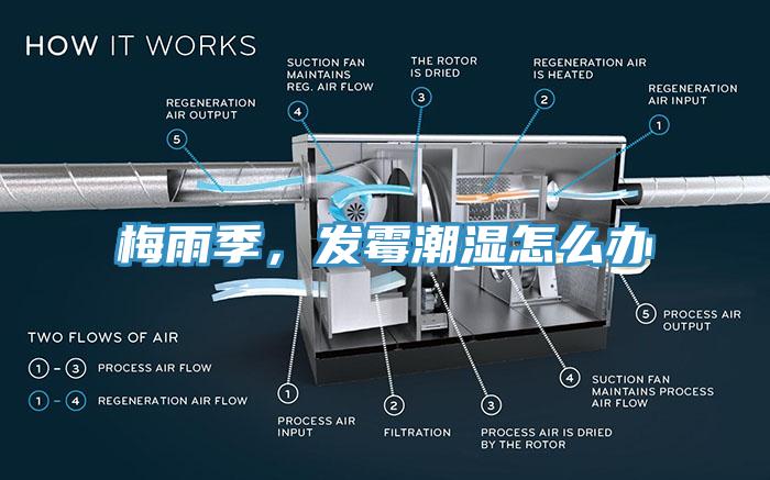 梅雨季，發(fā)霉潮濕怎么辦