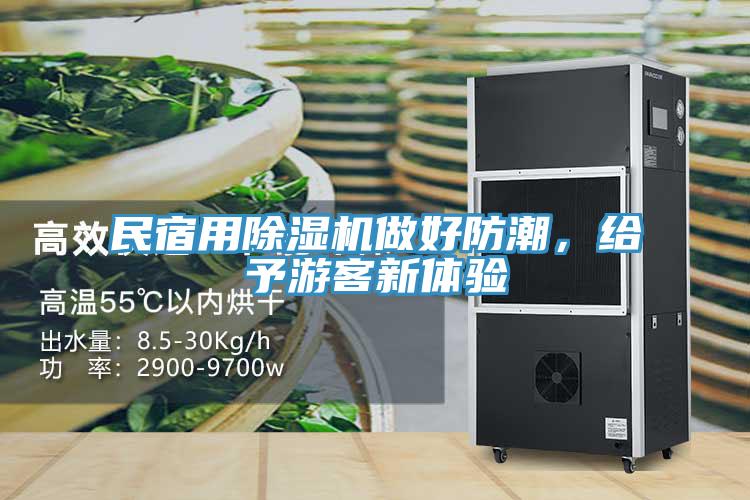 民宿用除濕機(jī)做好防潮，給予游客新體驗(yàn)