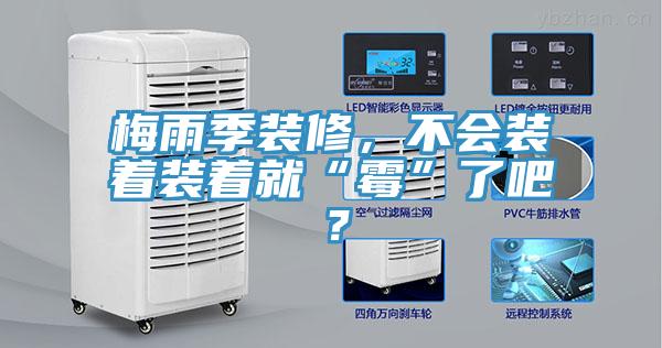 梅雨季裝修，不會裝著裝著就“霉”了吧？