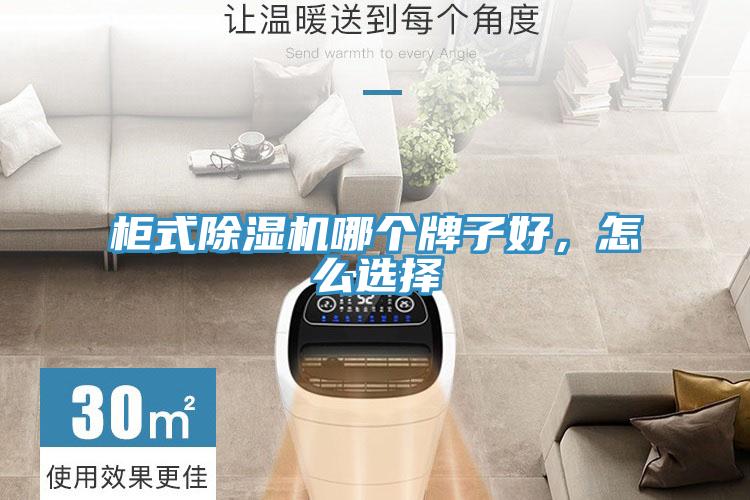 柜式除濕機(jī)哪個(gè)牌子好，怎么選擇