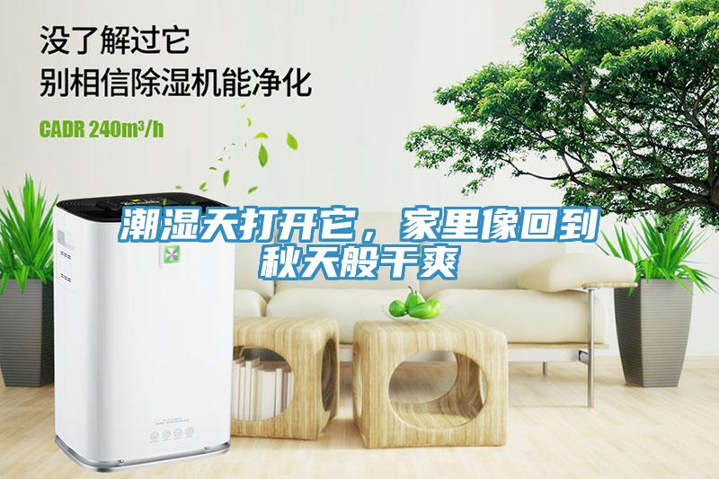 潮濕天打開它，家里像回到秋天般干爽