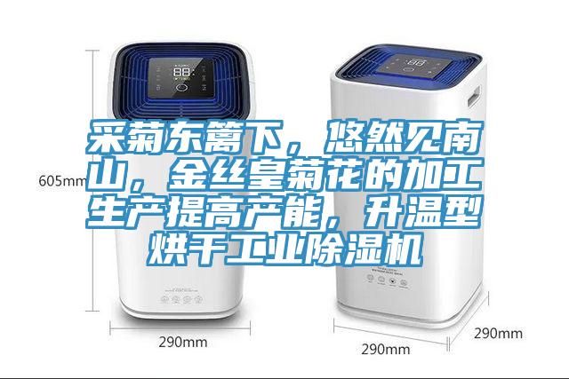 采菊東籬下，悠然見南山，金絲皇菊花的加工生產(chǎn)提高產(chǎn)能，升溫型烘干工業(yè)除濕機(jī)