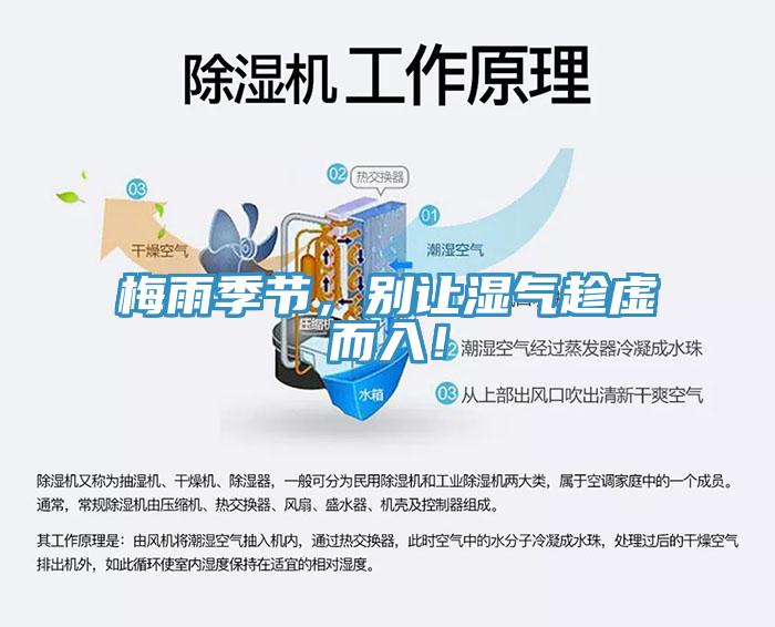 梅雨季節(jié)，別讓濕氣趁虛而入！