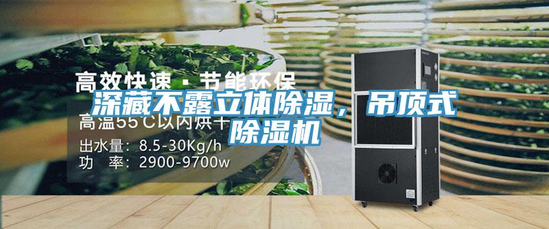 深藏不露立體除濕，吊頂式除濕機(jī)