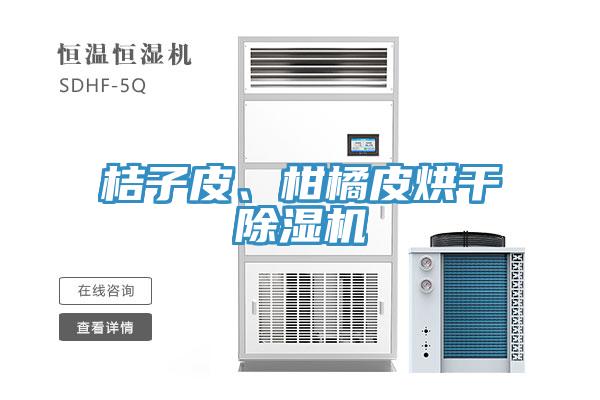 桔子皮、柑橘皮烘干除濕機(jī)