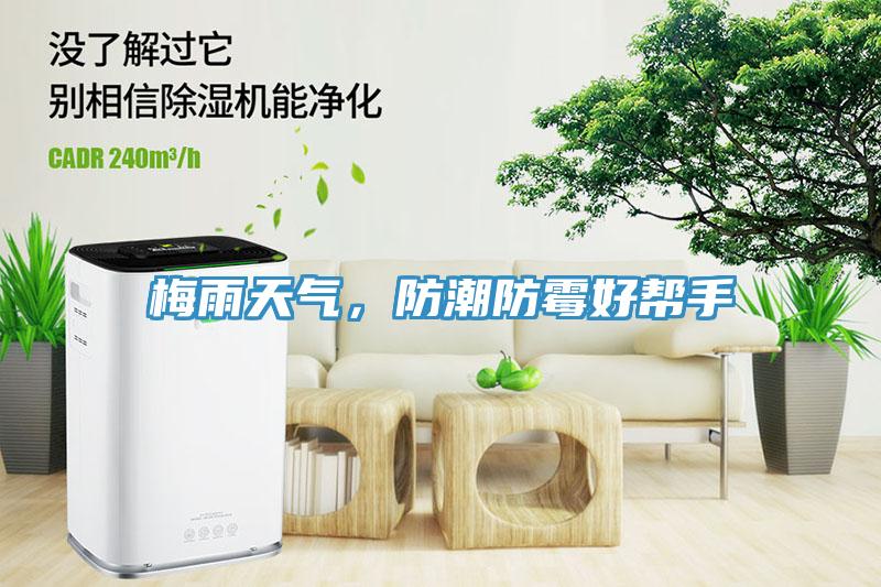 梅雨天氣，防潮防霉好幫手