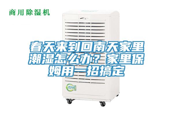 春天來到回南天家里潮濕怎么辦？家里保姆用一招搞定