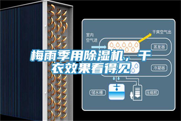 梅雨季用除濕機(jī)，干衣效果看得見