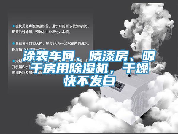 涂裝車間、噴漆房、晾干房用除濕機(jī)，干燥快不發(fā)白