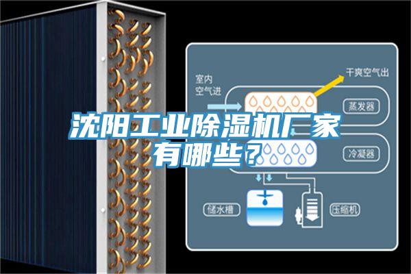 沈陽工業(yè)除濕機(jī)廠家有哪些？