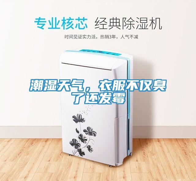 潮濕天氣，衣服不僅臭了還發(fā)霉
