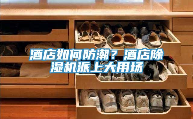 酒店如何防潮？酒店除濕機派上大用場