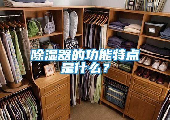 除濕器的功能特點(diǎn)是什么？