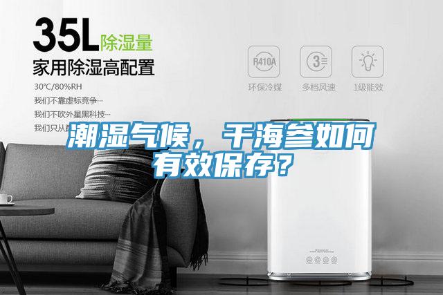 潮濕氣候，干海參如何有效保存？