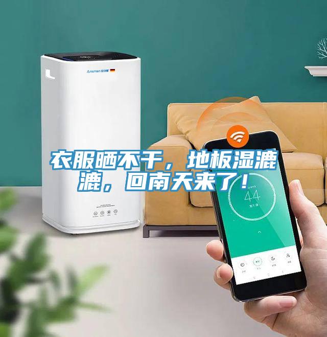 衣服曬不干，地板濕漉漉，回南天來(lái)了！