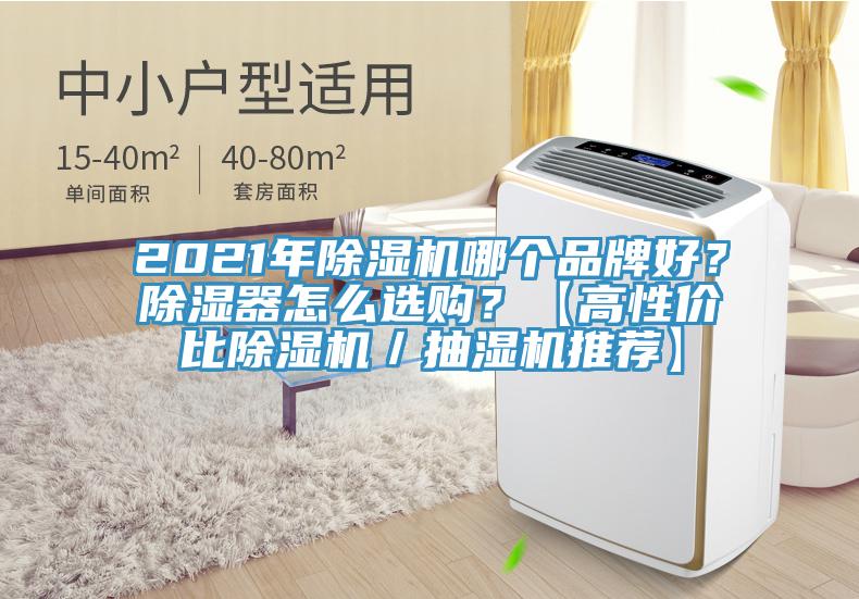 2021年除濕機哪個品牌好？除濕器怎么選購？【高性價比除濕機／抽濕機推薦】