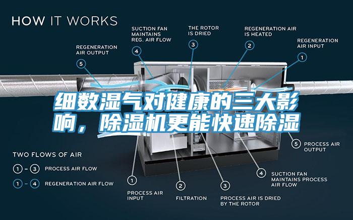 細(xì)數(shù)濕氣對健康的三大影響，除濕機更能快速除濕