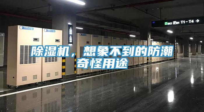除濕機(jī)，想象不到的防潮奇怪用途