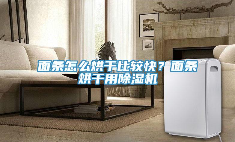 面條怎么烘干比較快？面條烘干用除濕機