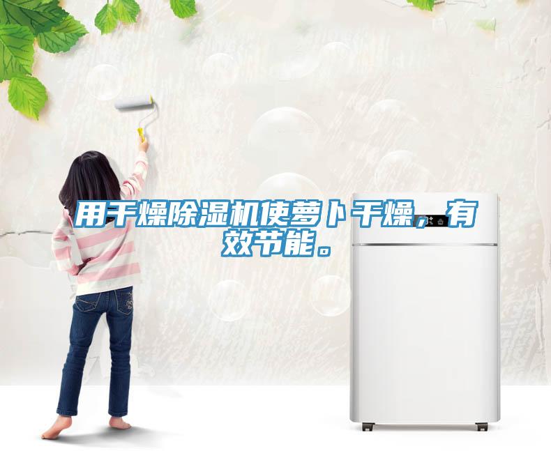 用干燥除濕機(jī)使蘿卜干燥，有效節(jié)能。
