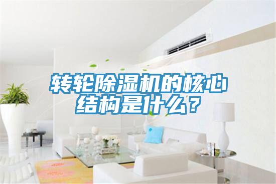 轉(zhuǎn)輪除濕機的核心結(jié)構(gòu)是什么？