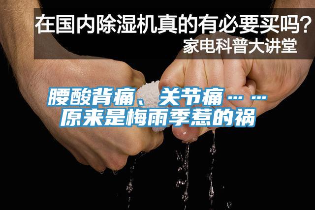 腰酸背痛、關節(jié)痛……原來是梅雨季惹的禍
