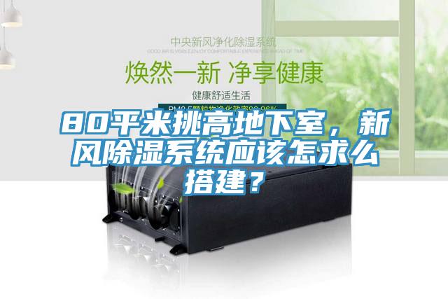 80平米挑高地下室，新風(fēng)除濕系統(tǒng)應(yīng)該怎求么搭建？