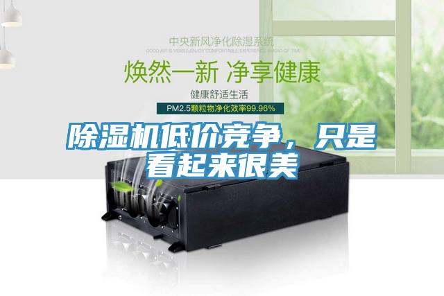 除濕機低價競爭，只是看起來很美