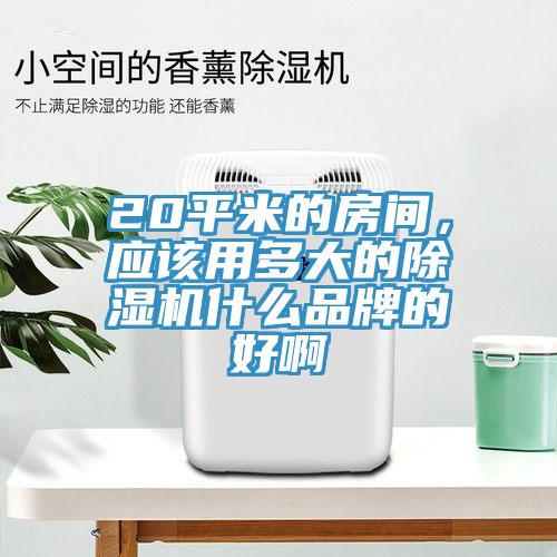 20平米的房間，應(yīng)該用多大的除濕機什么品牌的好啊
