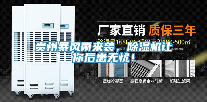 貴州暴風(fēng)雨來襲，除濕機(jī)讓你后患無憂！