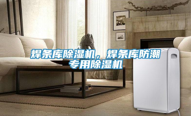 焊條庫除濕機，焊條庫防潮專用除濕機