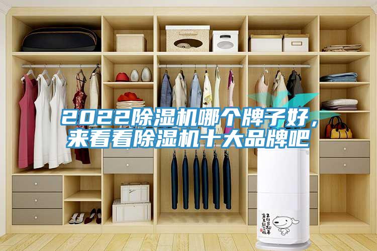 2022除濕機哪個牌子好，來看看除濕機十大品牌吧