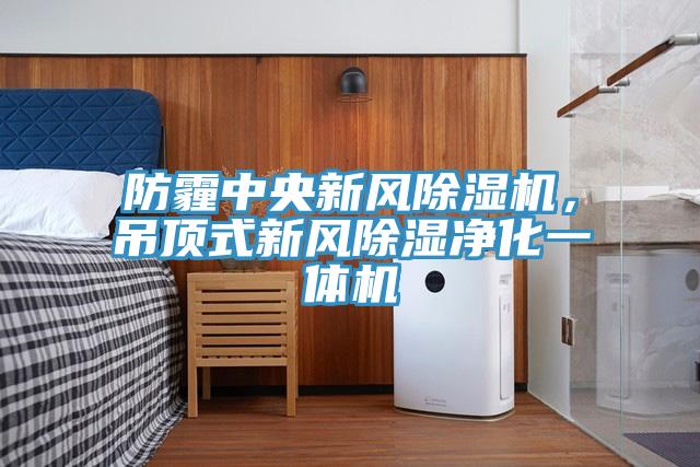 防霾中央新風除濕機，吊頂式新風除濕凈化一體機