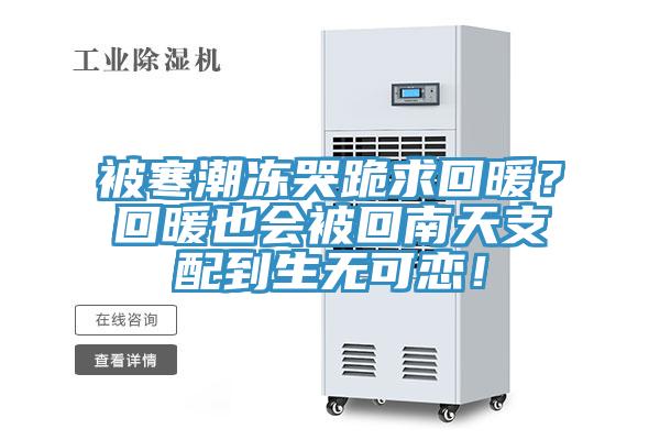 被寒潮凍哭跪求回暖？回暖也會被回南天支配到生無可戀！