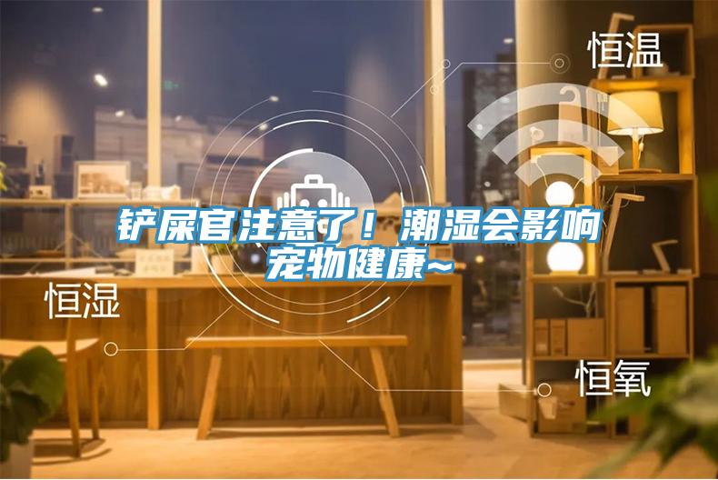 鏟屎官注意了！潮濕會影響寵物健康~