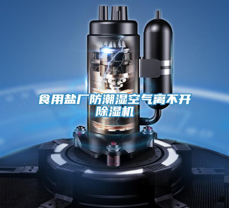 食用鹽廠(chǎng)防潮濕空氣離不開(kāi)除濕機(jī)