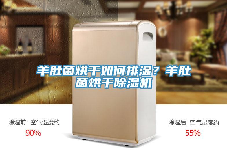 羊肚菌烘干如何排濕？羊肚菌烘干除濕機(jī)