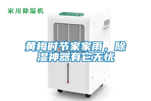 黃梅時節(jié)家家雨，除濕神器有它無憂