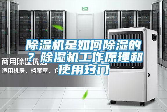 除濕機(jī)是如何除濕的？除濕機(jī)工作原理和使用竅門