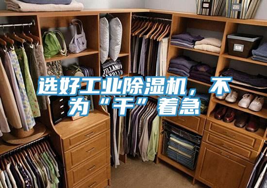 選好工業(yè)除濕機，不為“干”著急