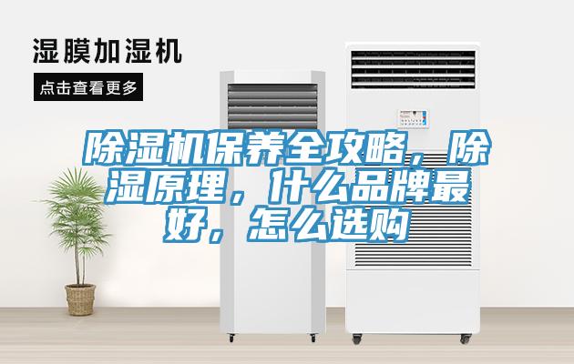 除濕機(jī)保養(yǎng)全攻略，除濕原理，什么品牌最好，怎么選購(gòu)