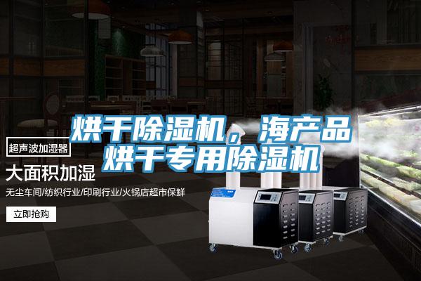 烘干除濕機(jī)，海產(chǎn)品烘干專用除濕機(jī)