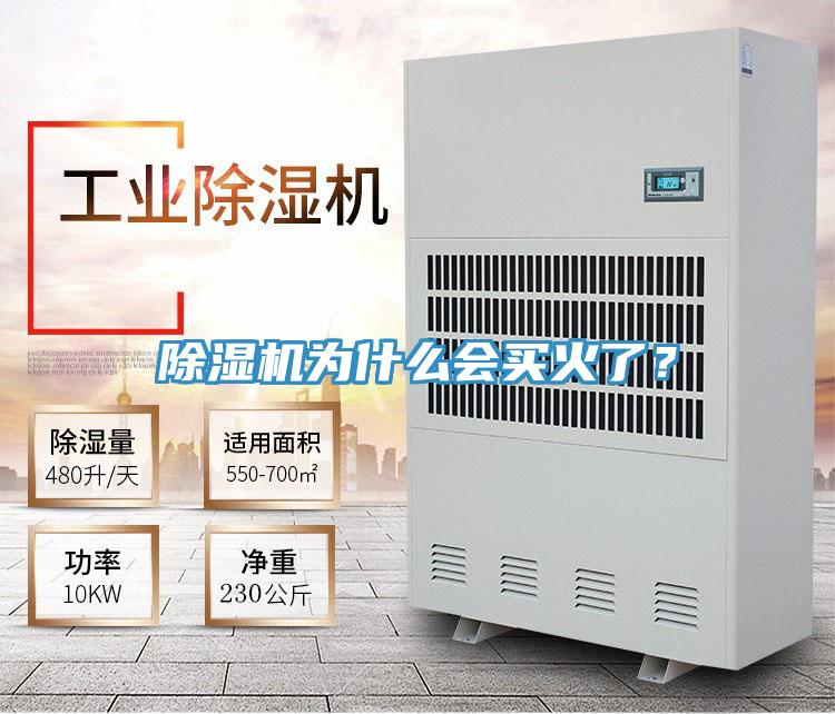 除濕機(jī)為什么會(huì)買(mǎi)火了？
