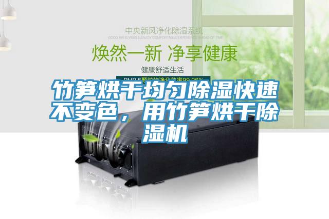 竹筍烘干均勻除濕快速不變色，用竹筍烘干除濕機(jī)