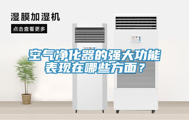 空氣凈化器的強大功能表現(xiàn)在哪些方面？