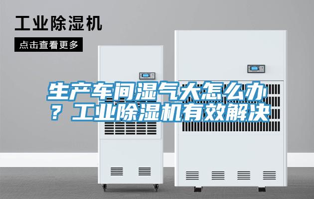 生產車間濕氣大怎么辦？工業(yè)除濕機有效解決