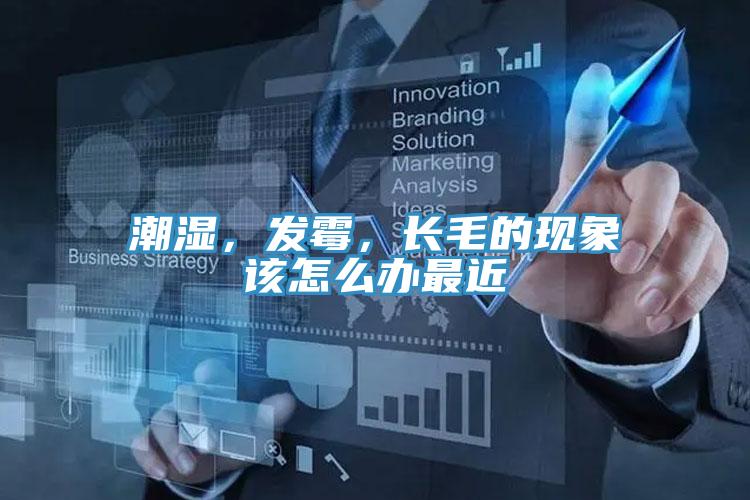 潮濕，發(fā)霉，長毛的現(xiàn)象該怎么辦最近